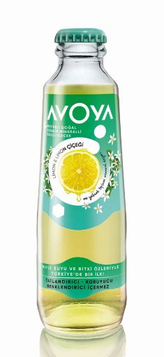 AVOYA MEYVELI LIMON 200ML resmi